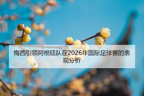 mei-xi-yin-ling-a-gen-ting-dui-zai-nian-guo-ji-zu-qiu-sai-de-biao-xian-fen-xi-2-576.jpg