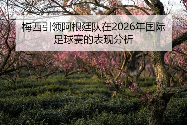 梅西引领阿根廷队在2026年国际足球赛的表现分析